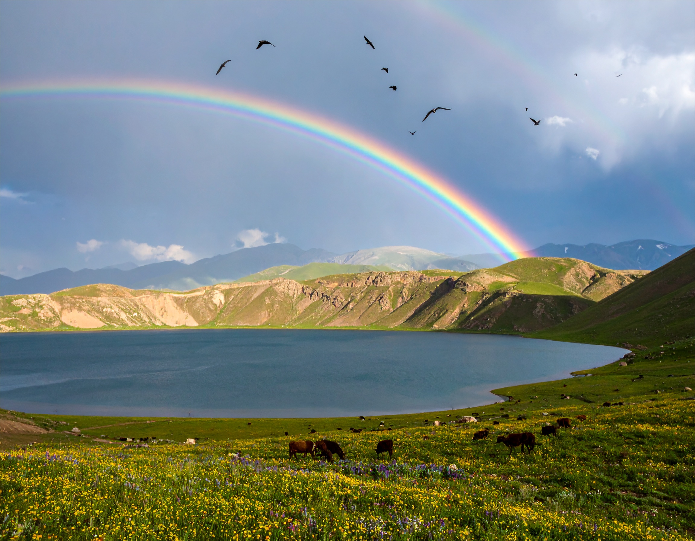 Psalm 34:22 (NKJV) - The Lord redeems the soul of His servants.