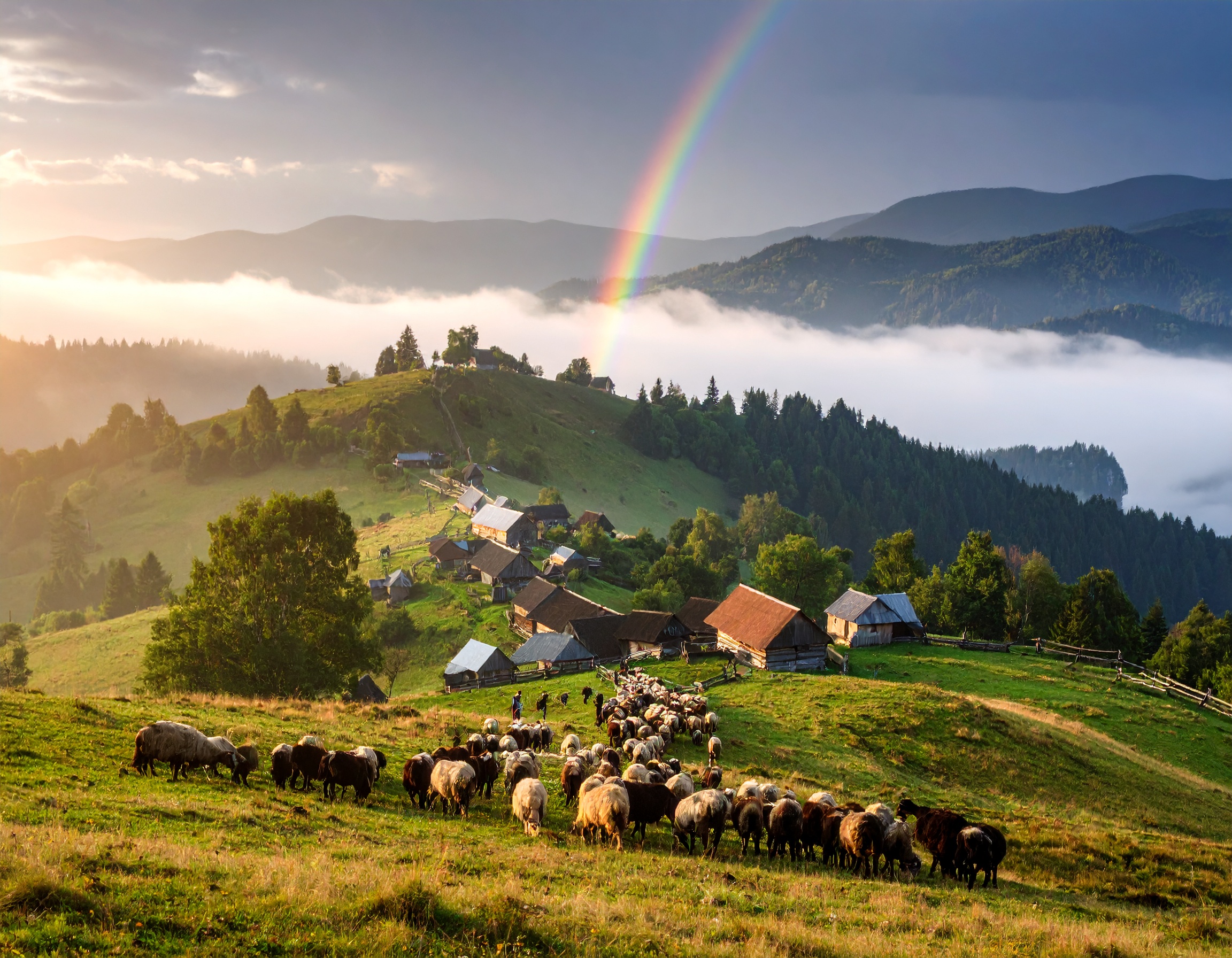 Romans 15:4 (NLT) - Such things were written in the Scriptures long ago to teach us.