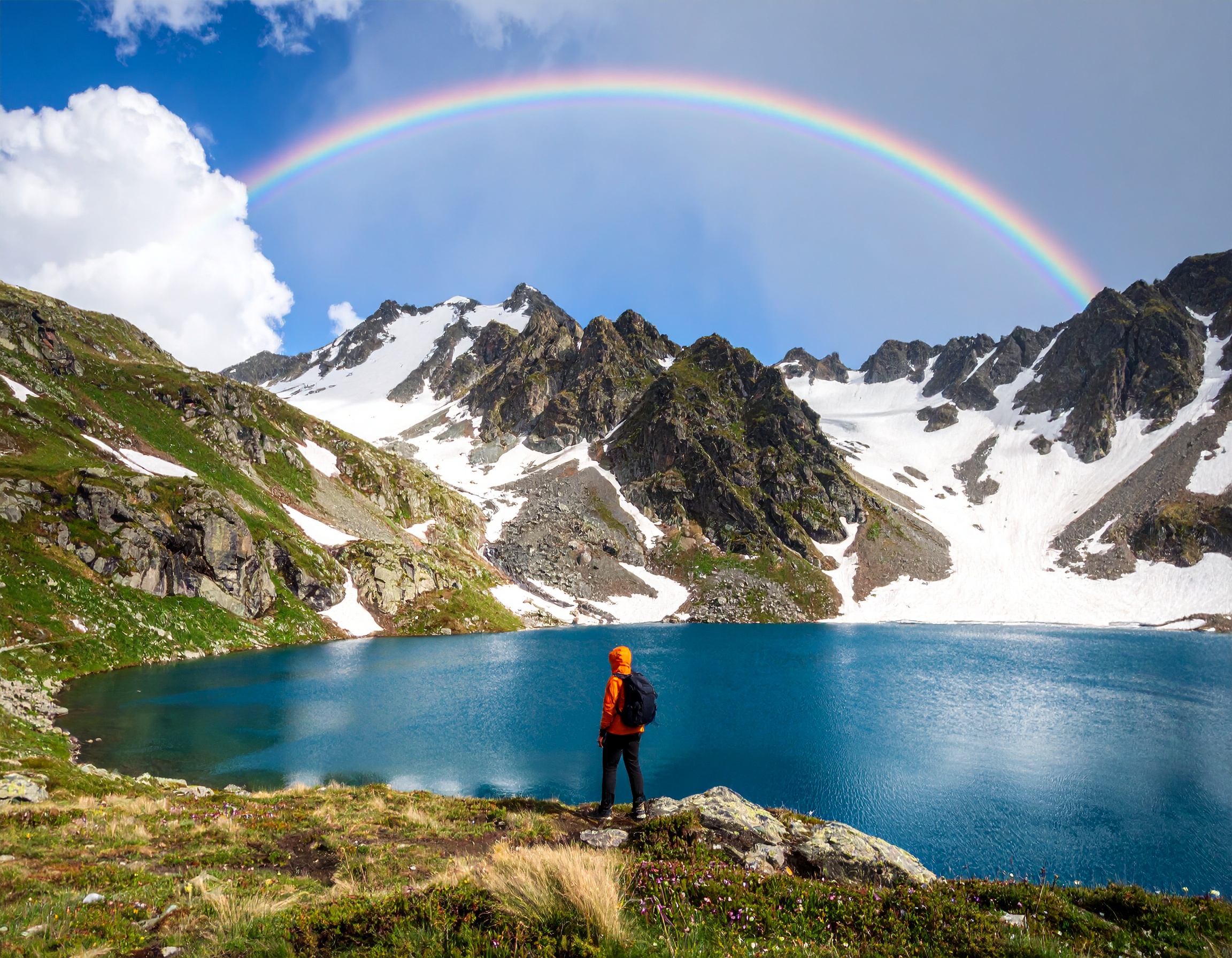 Psalm 115:11 (NKJV) - You who fear the Lord, trust in the Lord; He is their help and their shield.