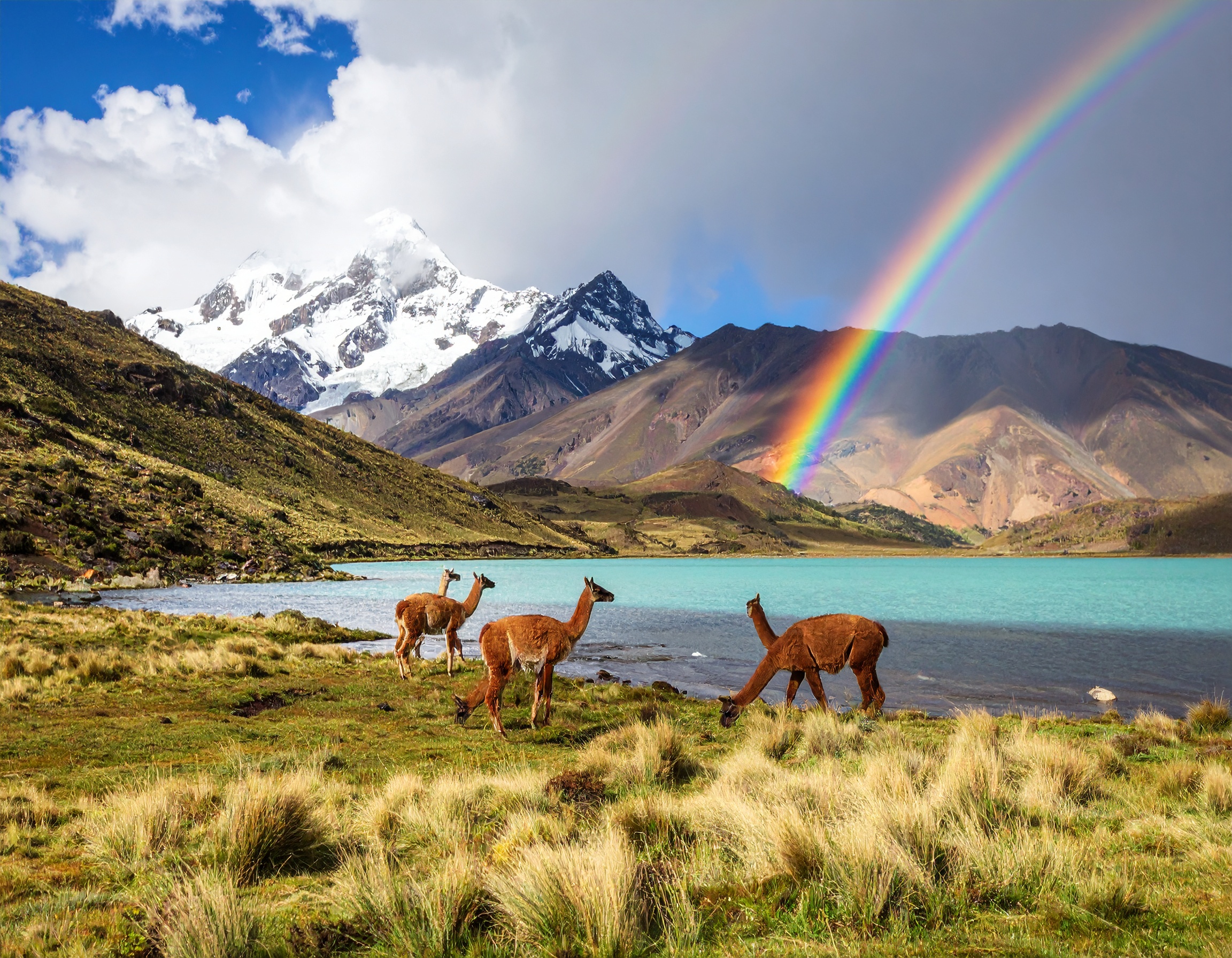 Psalm 33:18 (NKJV) - Behold, the eye of the Lord is on those who fear Him, on those who hope in His mercy.