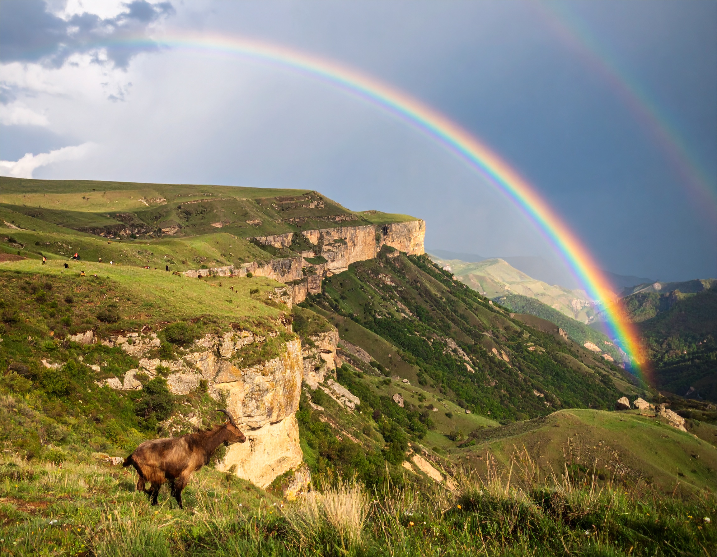 Psalm 89:1 (NKJV) - I will sing of the mercies of the Lord forever; with my mouth will I make known Your faithfulness to all generations.