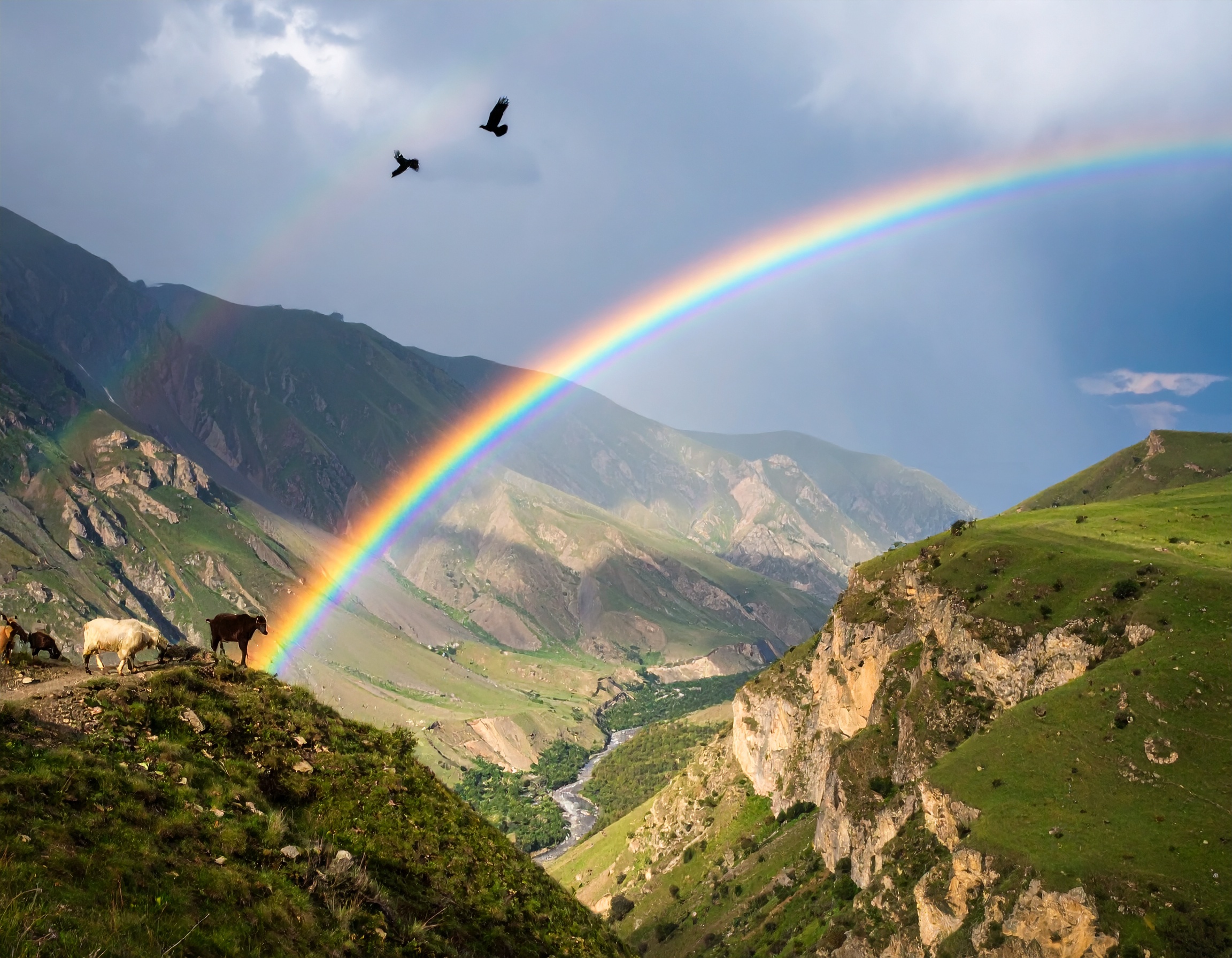 Psalm 66:20 (NKJV) - Blessed be God, who has not turned away my prayer, nor His mercy from me.