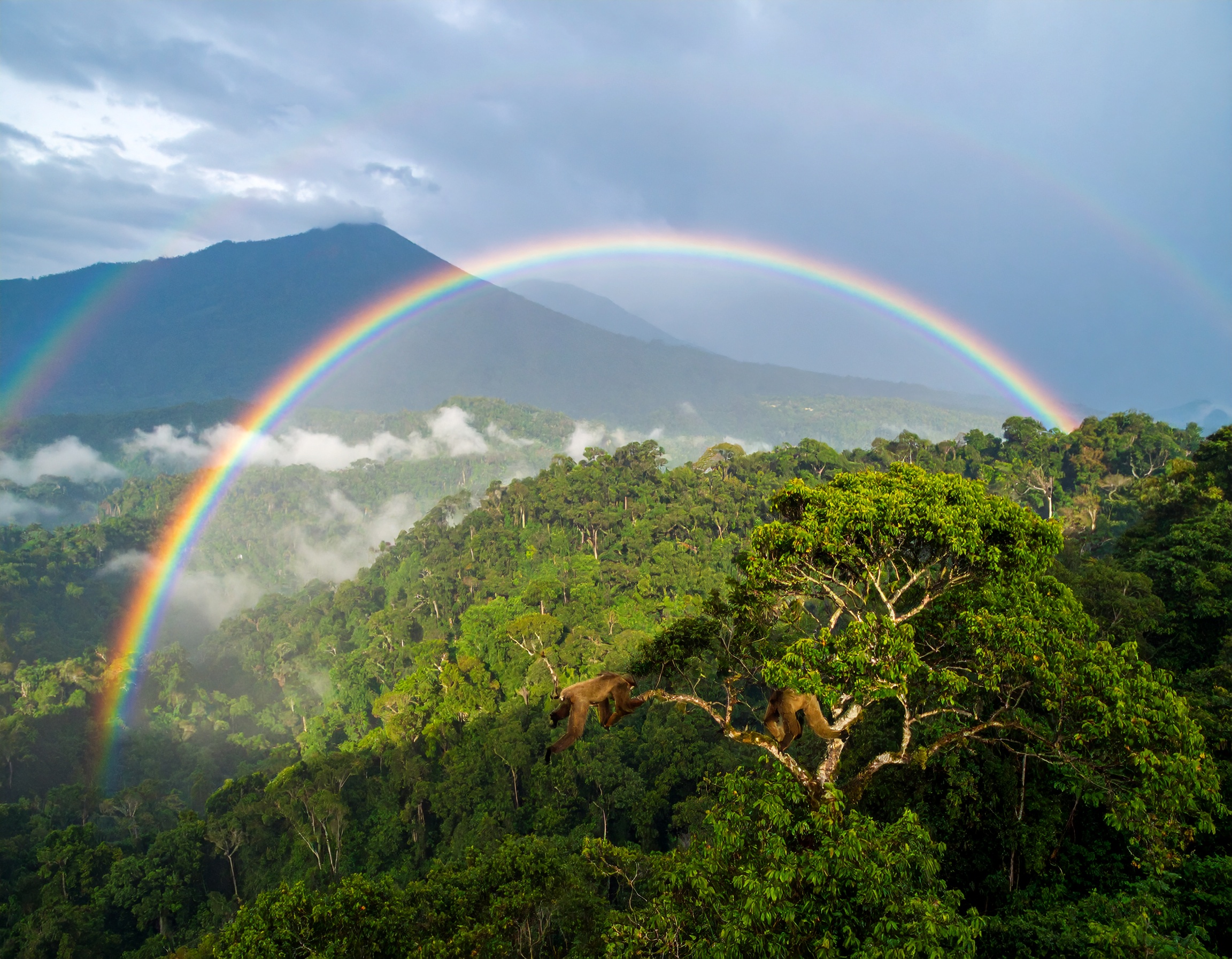 Isaiah 49:16 (NLT) - See, I have written your name on the palms of my hands.