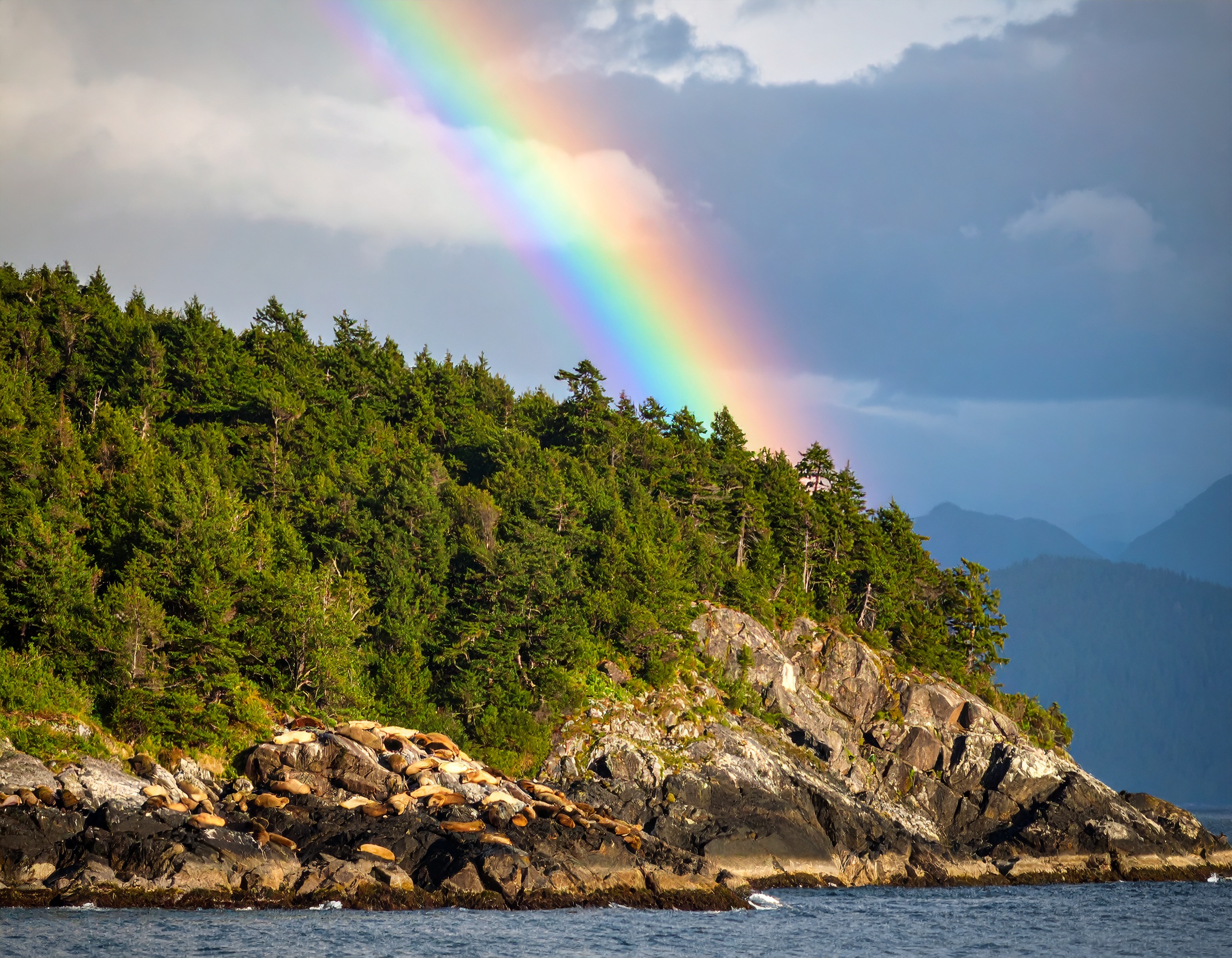 Romans 8:1 (NLT) - So now there is no condemnation for those who belong to Christ Jesus.