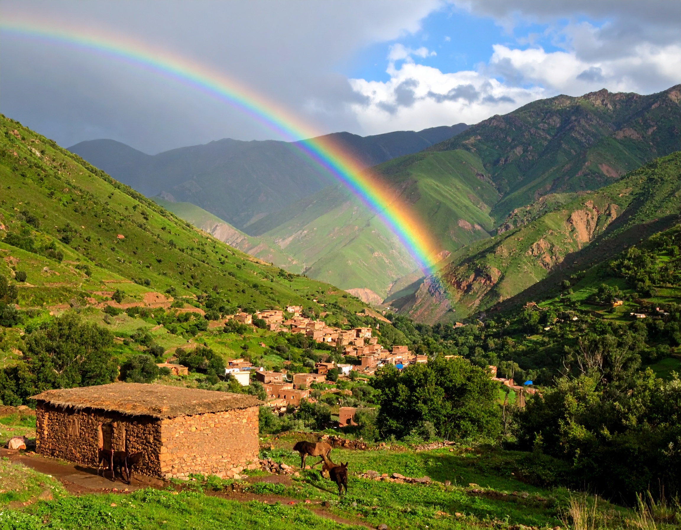 Psalm 34:10 (NKJV) - Those who seek the Lord shall not lack any good thing.