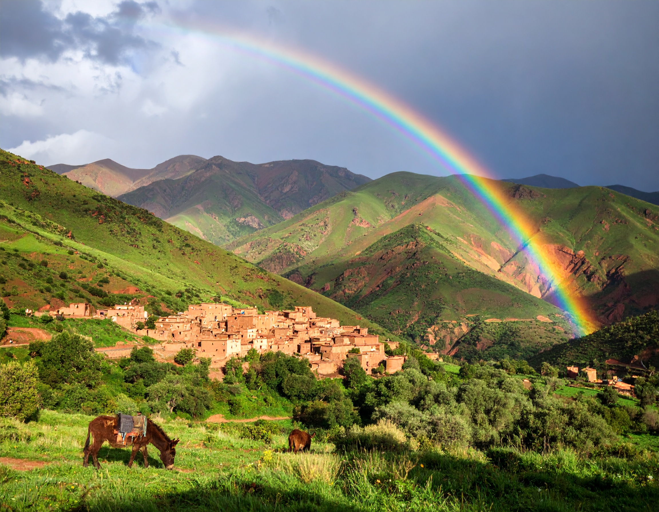 Hebrews 12:1 (NLT) - Let us strip off every weight that slows us down, especially the sin that so easily trips us up.