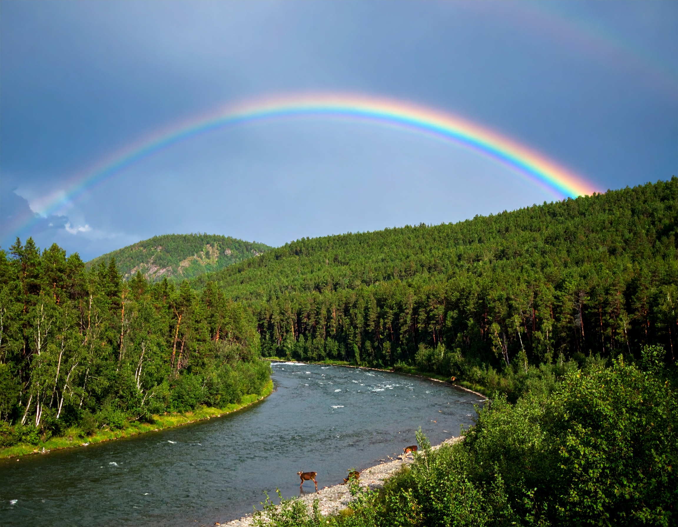 Colossians 3:15 (NLT) - And let the peace that comes from Christ rule in your hearts.