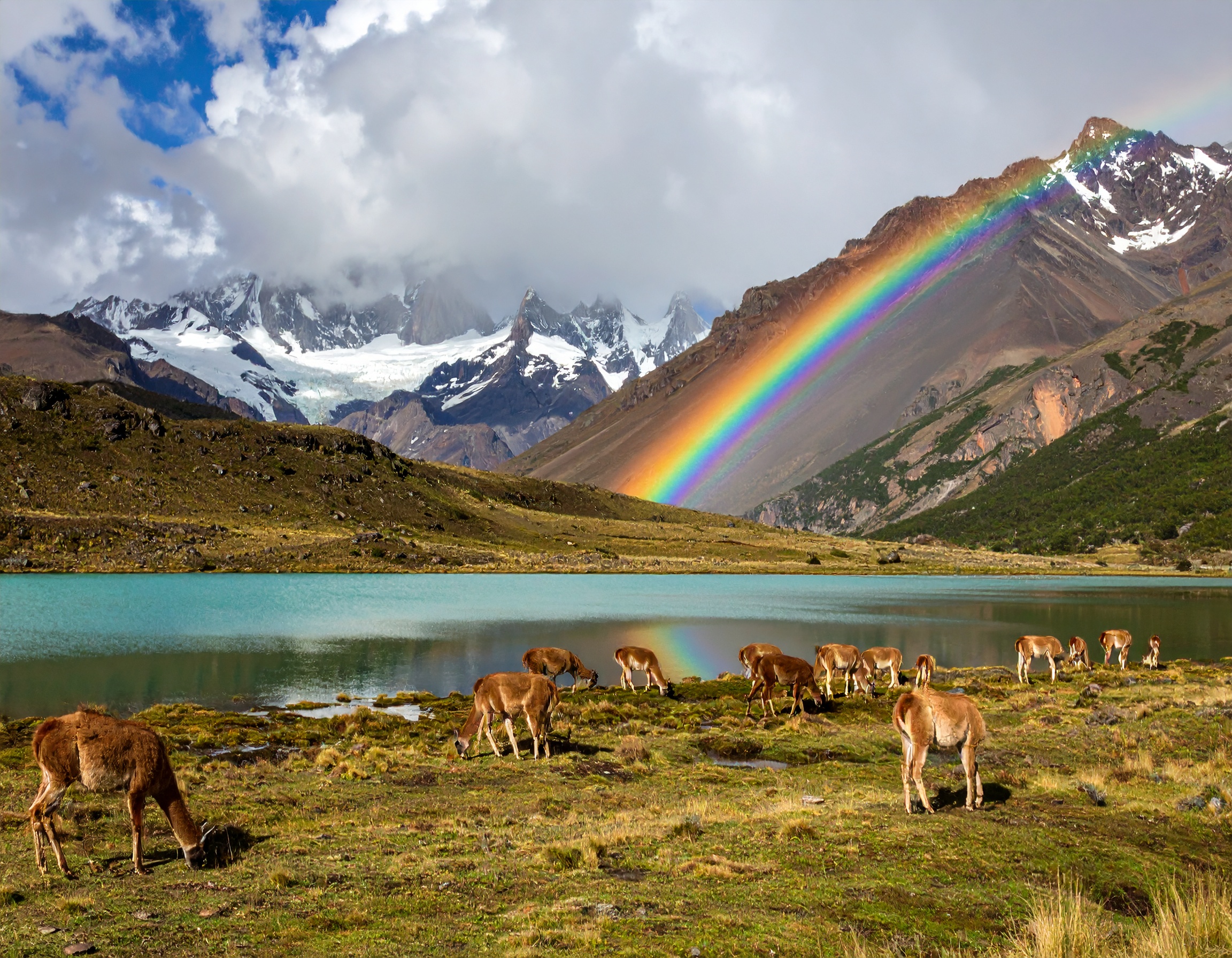 Psalm 42:11 (NKJV) - Why are you cast down, O my soul? Hope in God; for I shall yet praise Him.