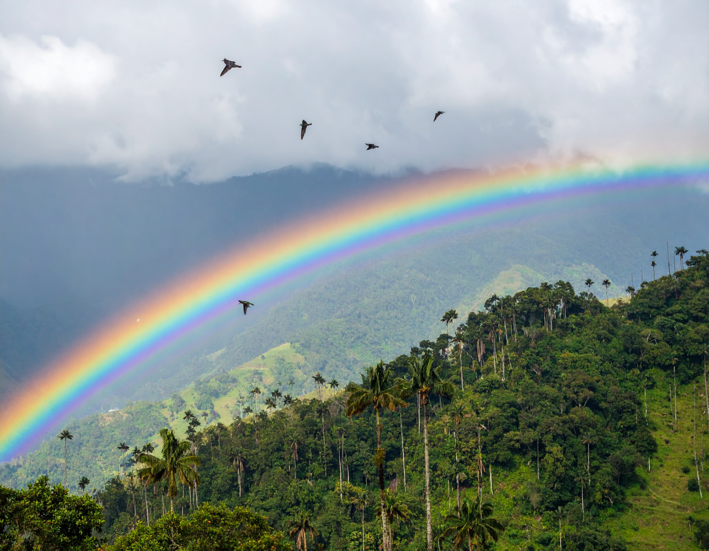 Psalm 119:165 (NKJV) - Great peace have those who love Your law, and nothing causes them to stumble.