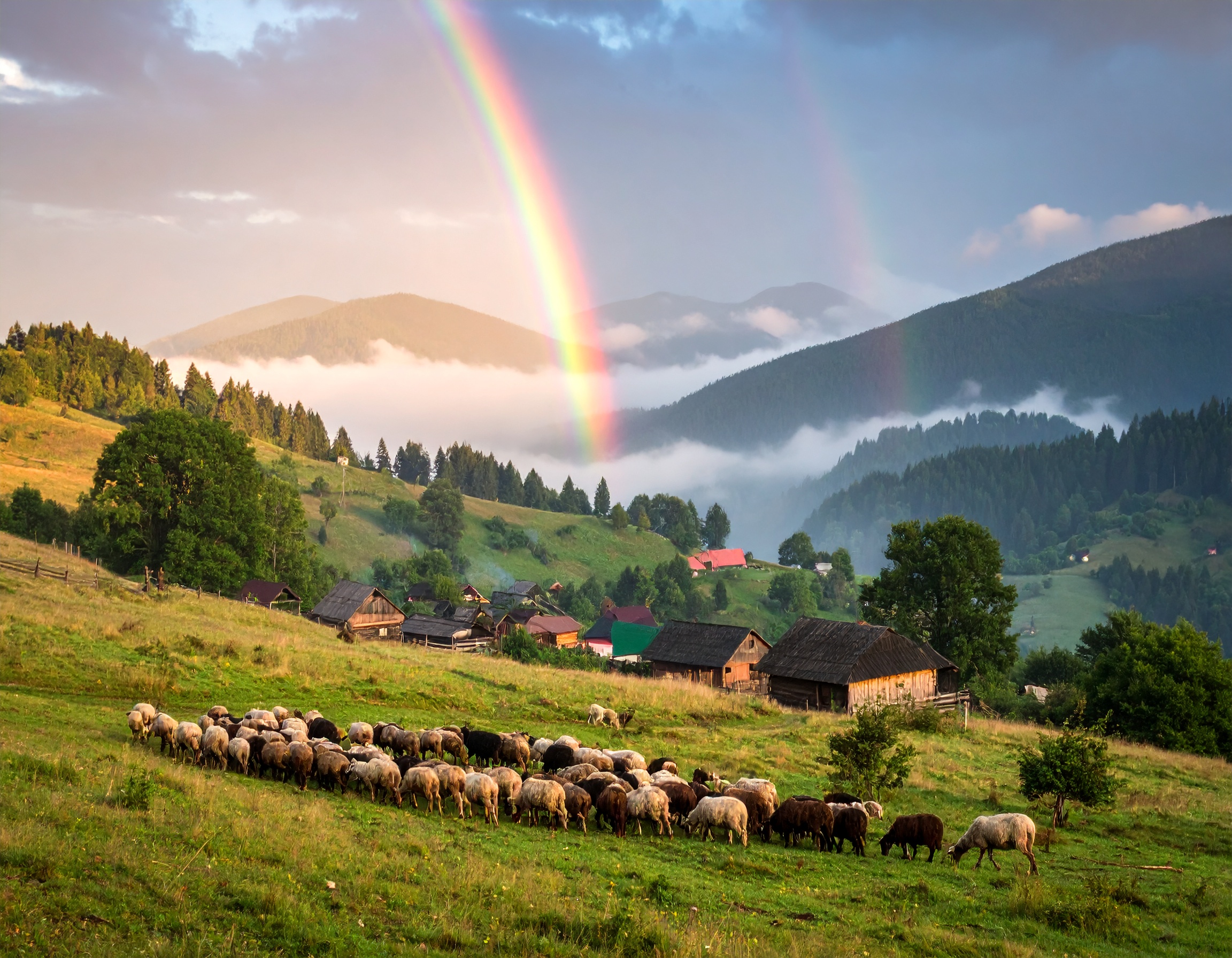 Psalm 118:24 (NKJV) - This is the day the Lord has made; we will rejoice and be glad in it.