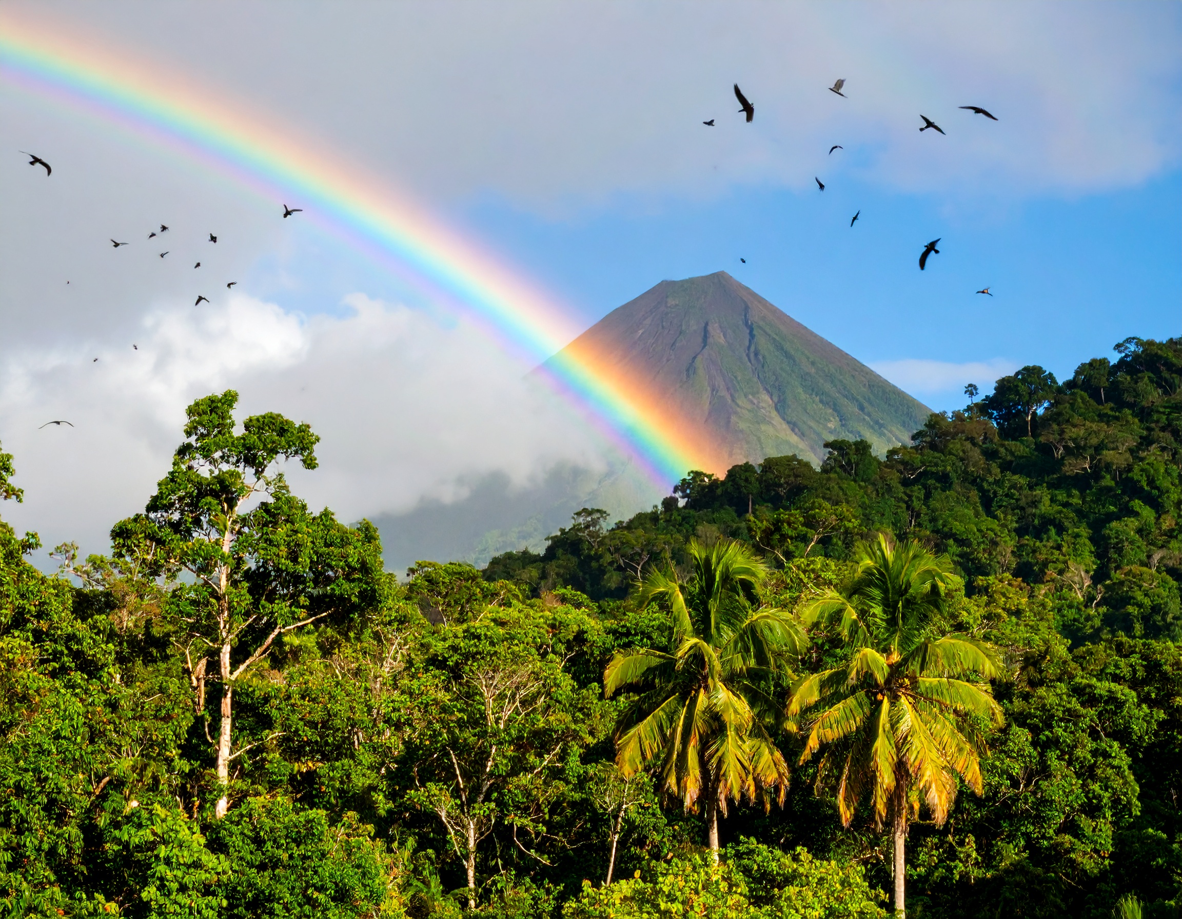 Psalm 37:4 (NKJV) - Delight yourself also in the Lord, and He shall give you the desires of your heart.