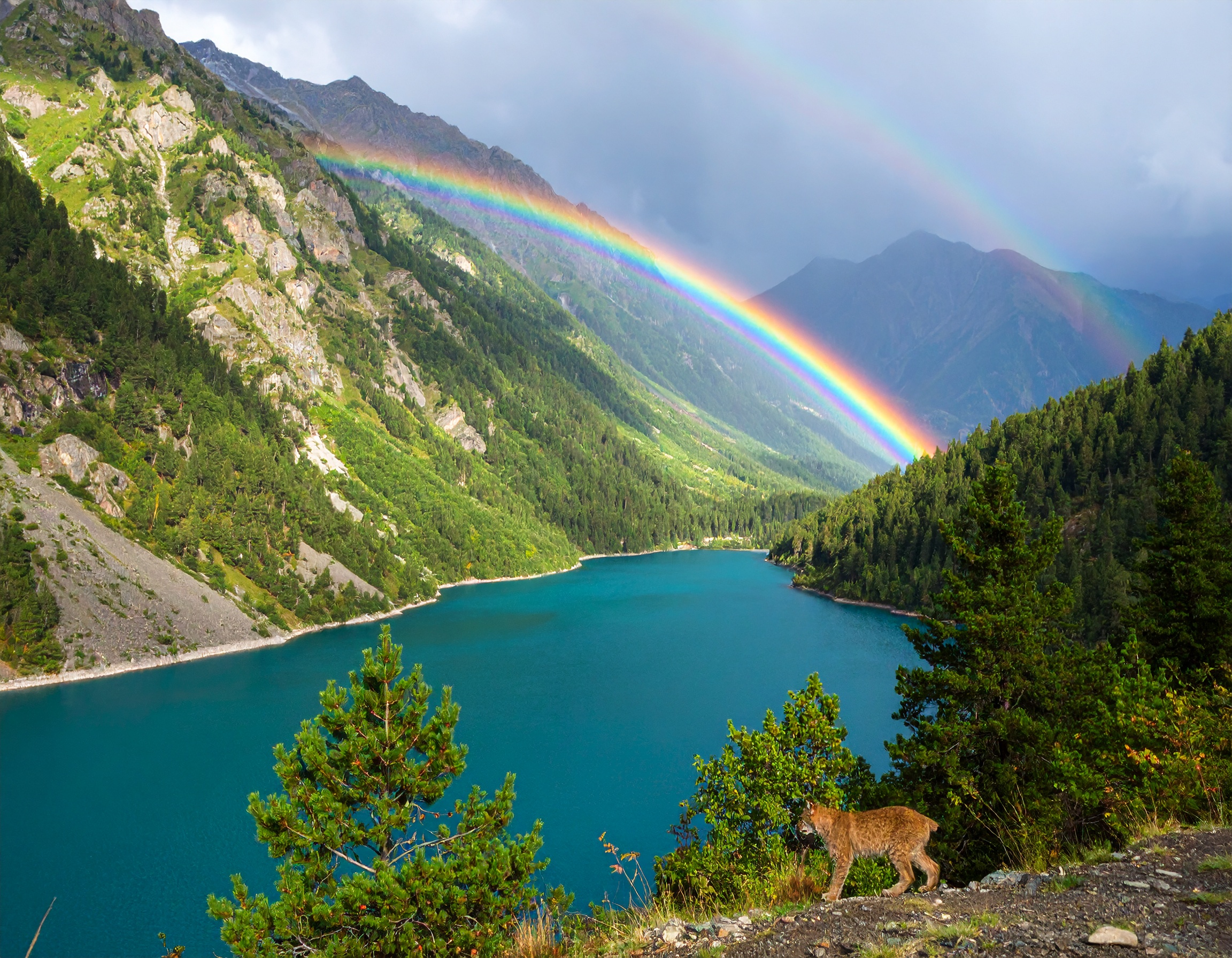 Psalm 121:1-2 (NKJV) - I will lift up my eyes to the hills—from whence comes my help? My help comes from the Lord.