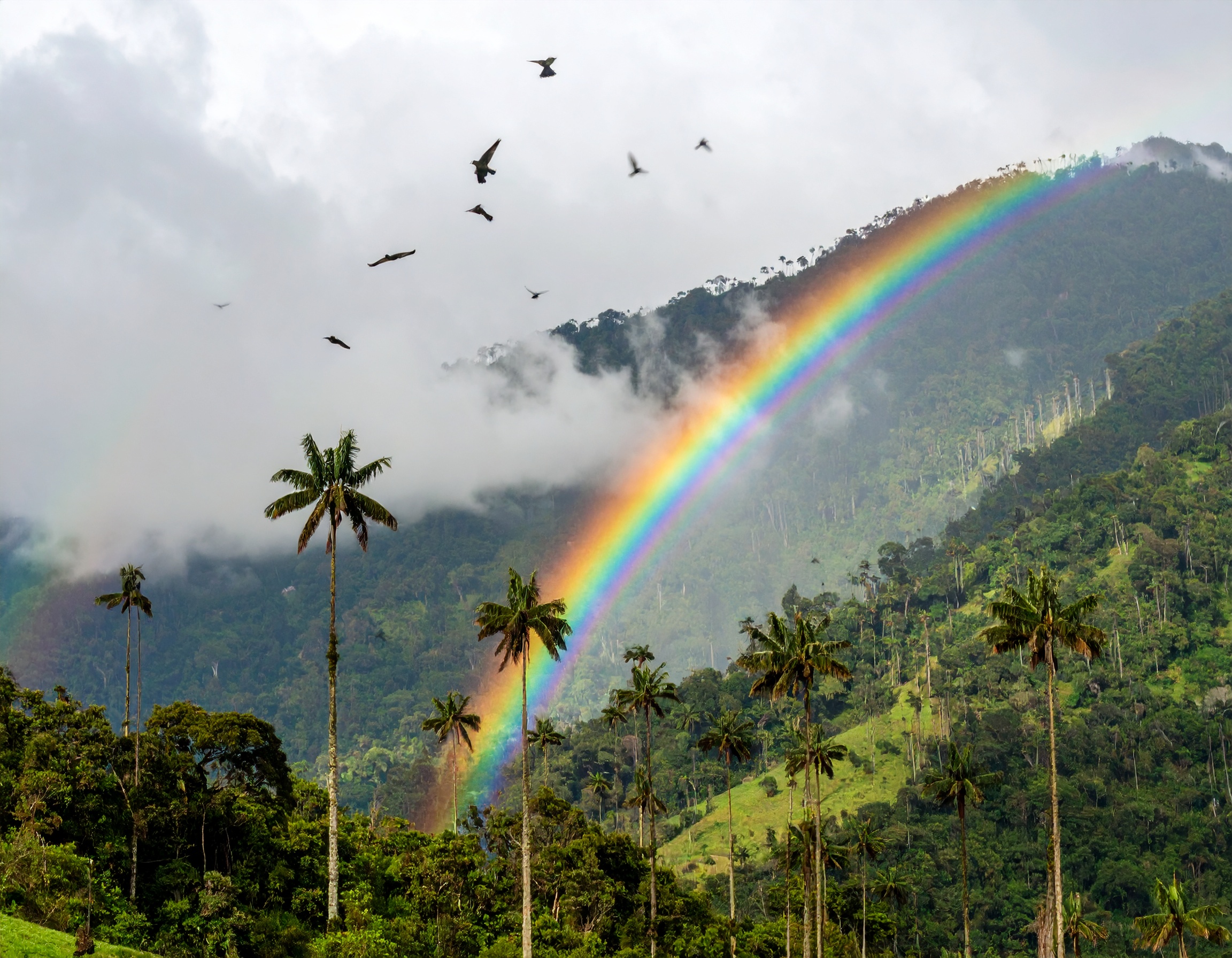 2 Corinthians 9:7 (NLT) - You must each decide in your heart how much to give. And don’t give reluctantly or in response to pressure.