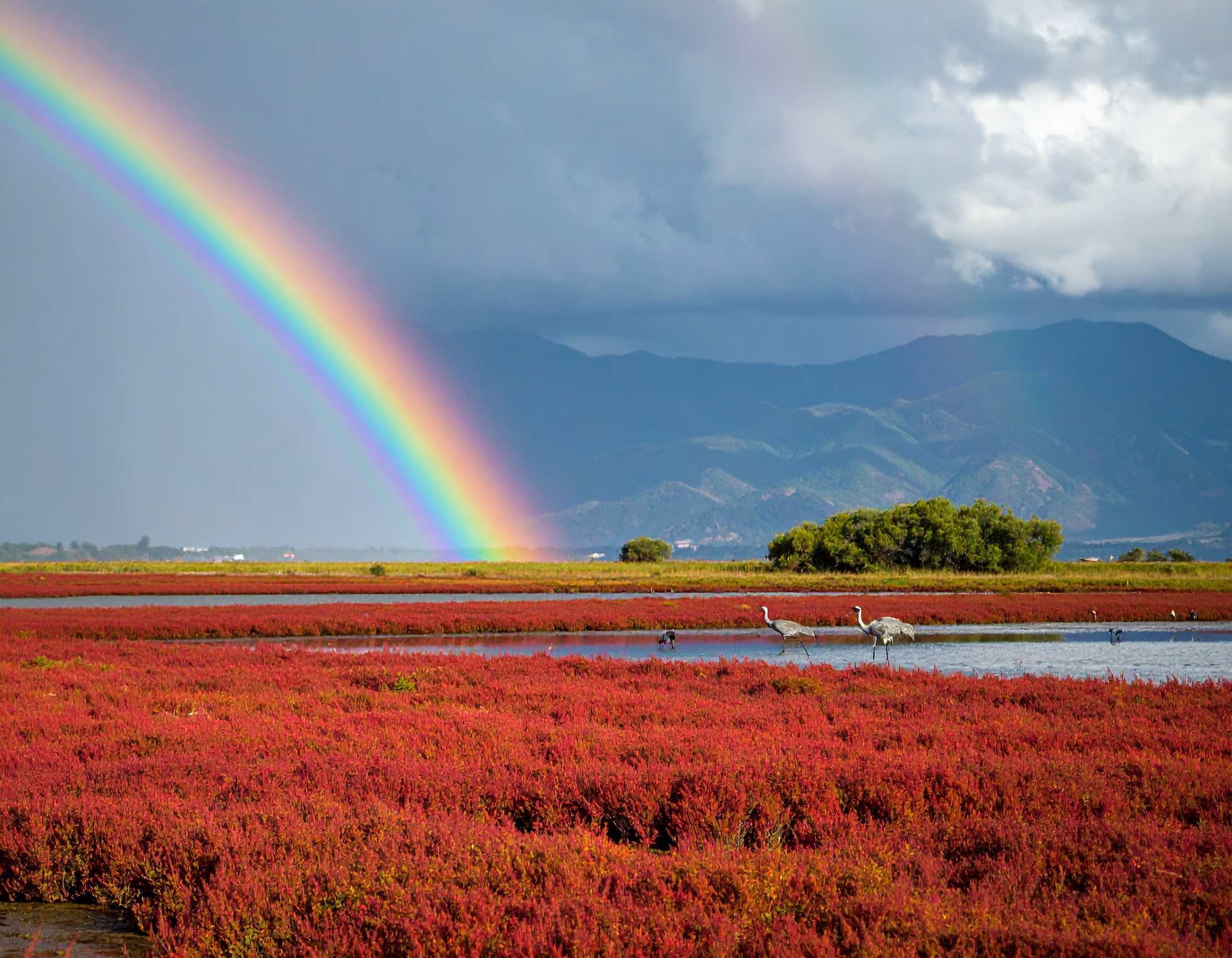 Isaiah 26:3 (NLT) - You will keep in perfect peace all who trust in you, all whose thoughts are fixed on you.