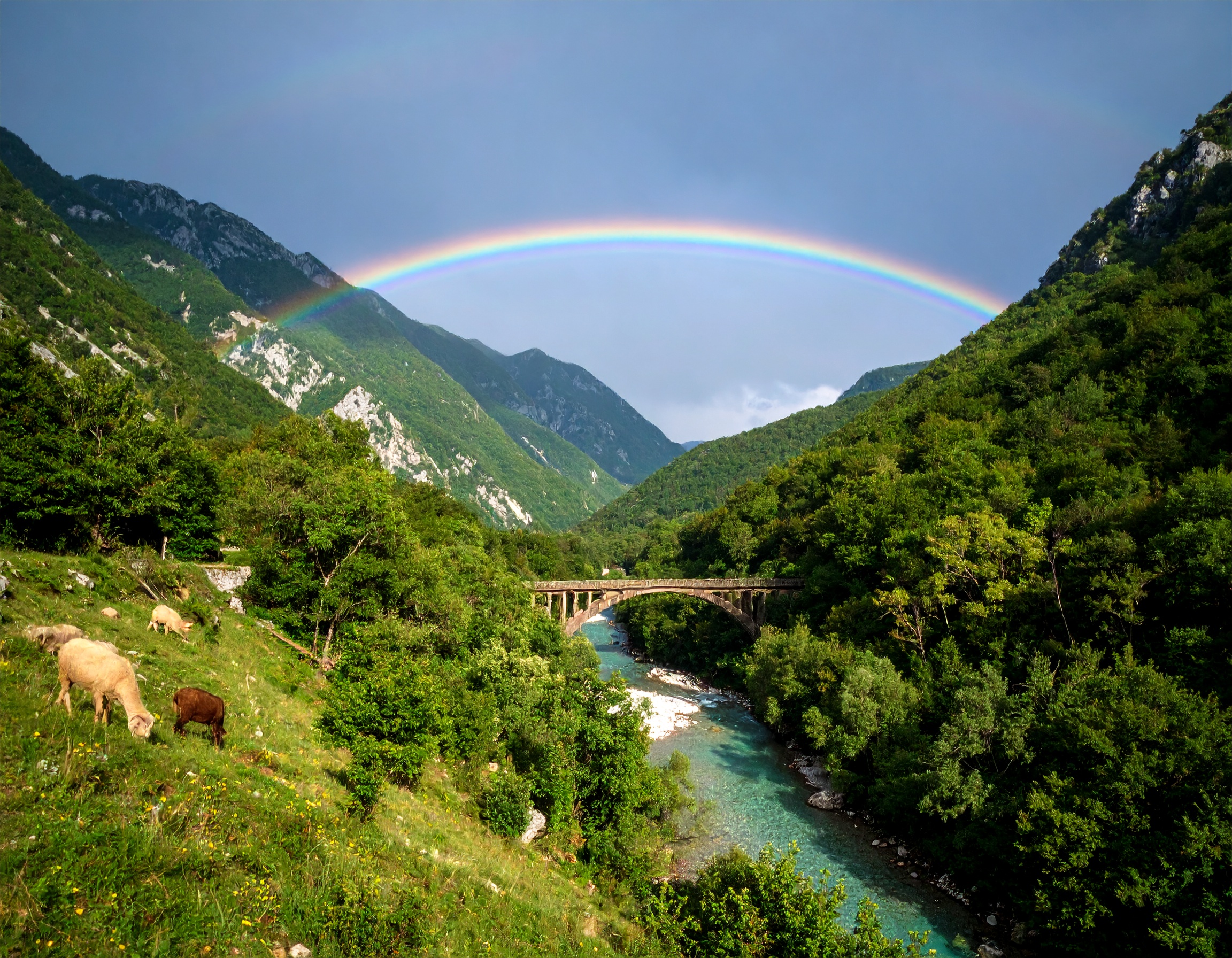 Micah 6:8 (NLT) - The Lord has told you what is good, and this is what he requires of you: to do what is right, to love mercy, and to walk humbly with your God.