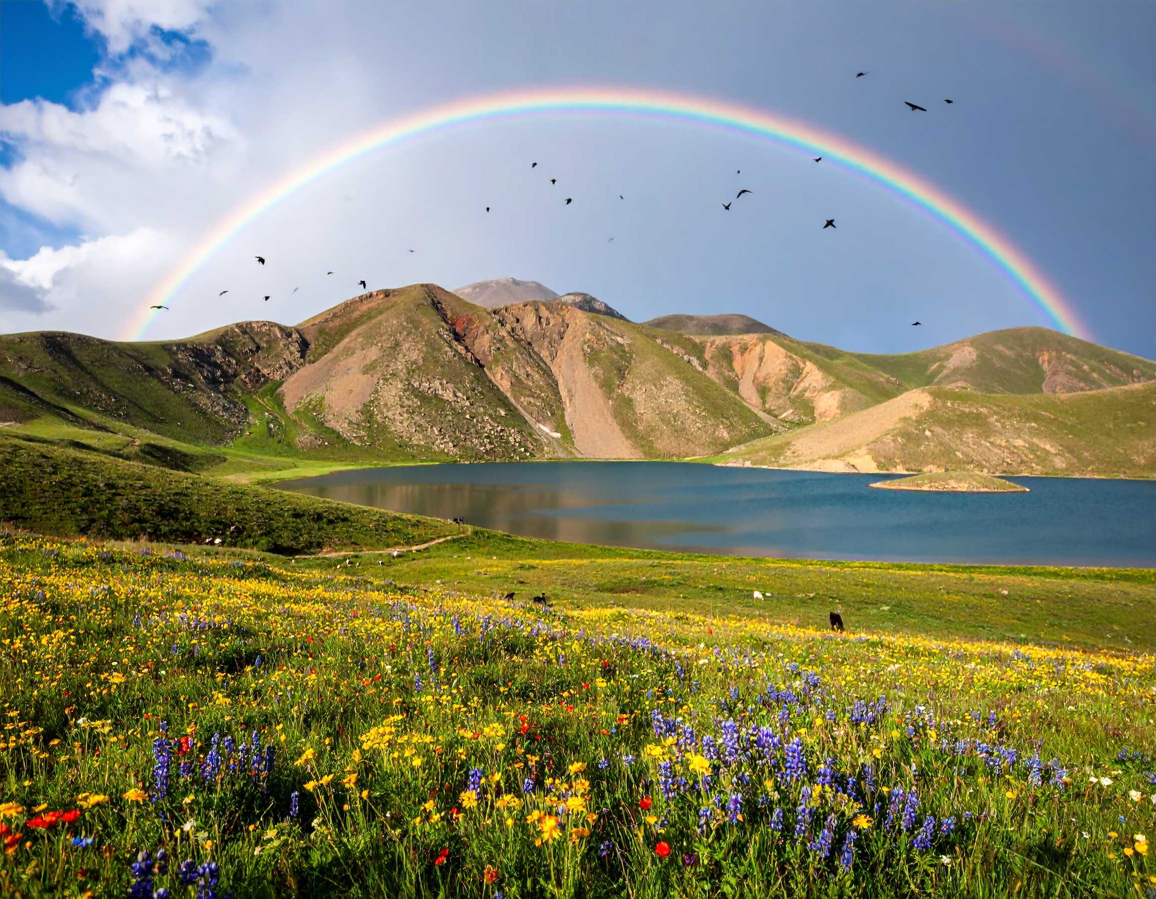 Psalm 27:13 (NKJV) - I would have lost heart, unless I had believed that I would see the goodness of the Lord in the land of the living.