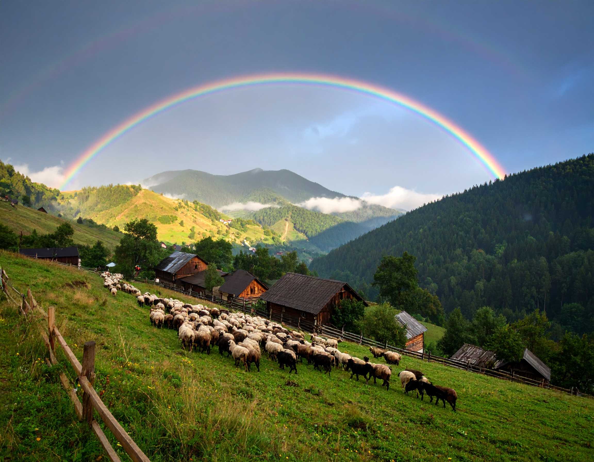 Psalm 121:7-8 (NKJV) - The Lord shall preserve you from all evil; He shall preserve your soul. The Lord shall preserve your going out and your coming in from this time forth, and even forevermore.