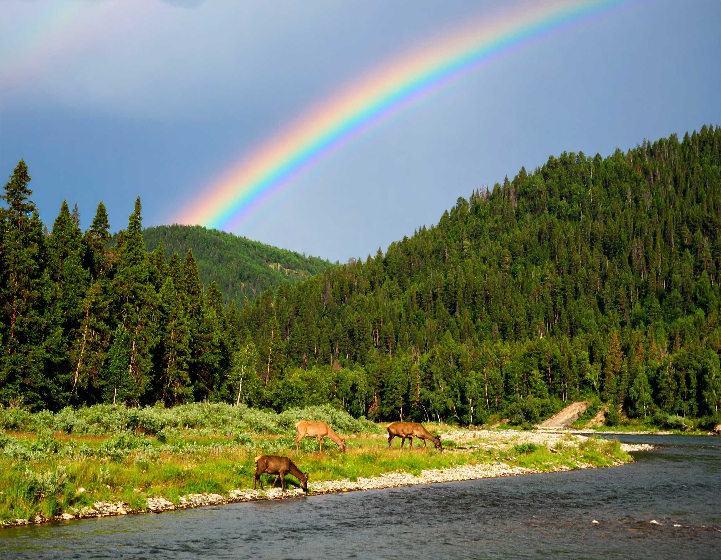 Psalm 5:12 (NKJV) - For You, O Lord, will bless the righteous; with favor You will surround him as with a shield.
