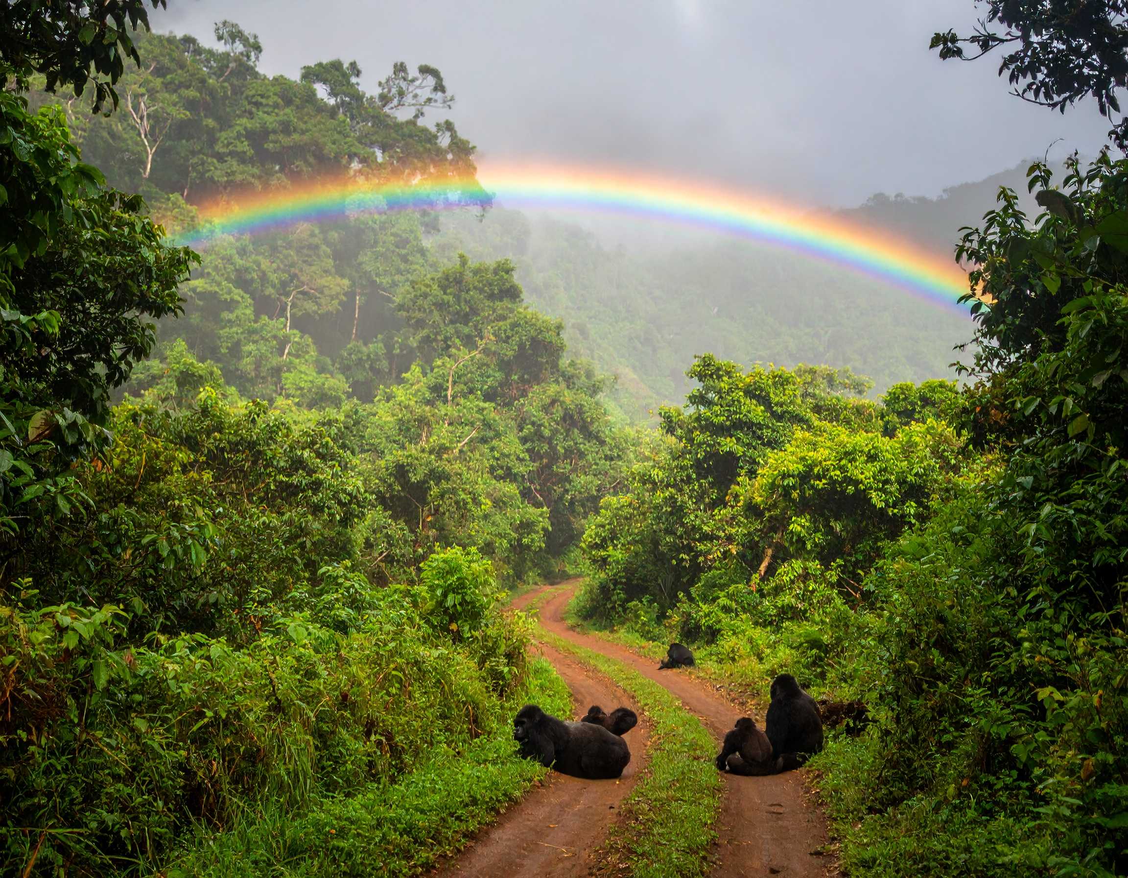 Psalm 20:7 (NKJV) - Some trust in chariots, and some in horses; but we will remember the name of the Lord our God.